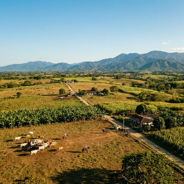 Travel view representing San Pedro de Uraba in Antioquia, Colombia
