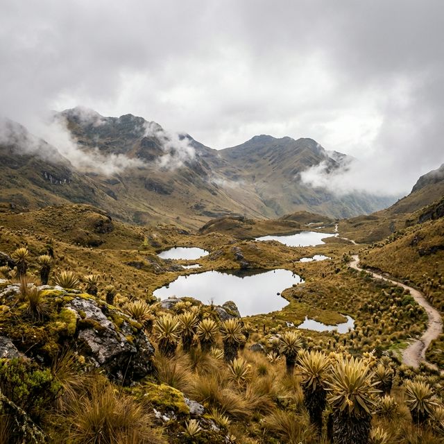 Ciénega