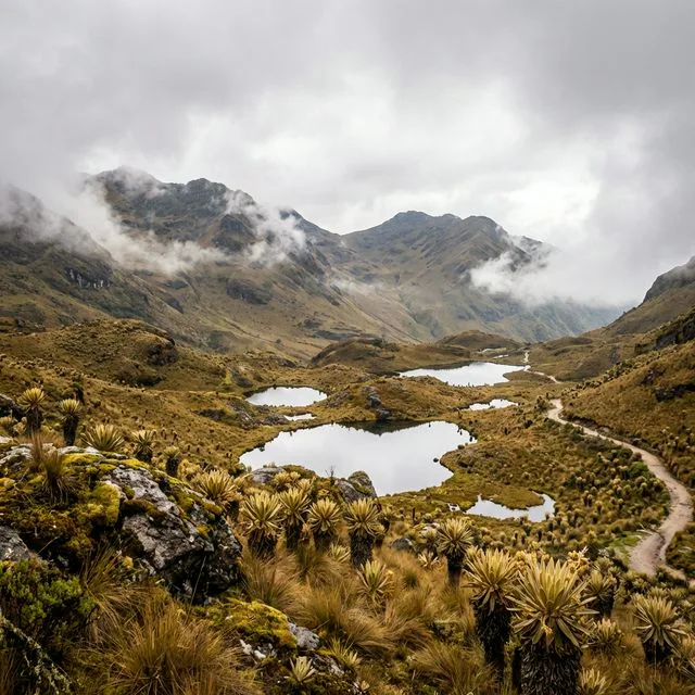 Travel view representing Ciénega in Boyacá, Colombia