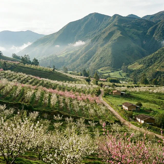 Travel view representing Nuevo Colón in Boyacá, Colombia