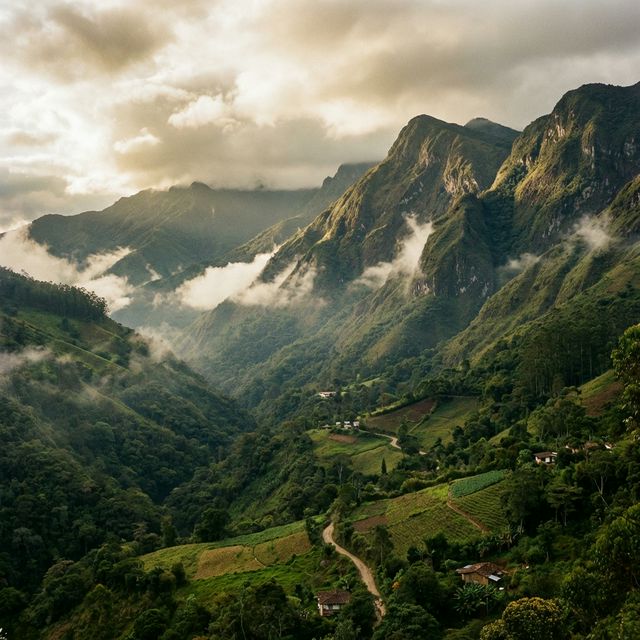 Páez