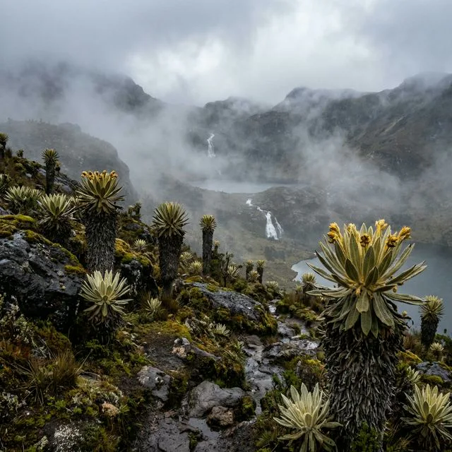 Travel view representing Páramo in Santander, Colombia