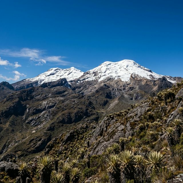 Los Nevados National Park in Caldas, Quindío, Risaralda and Tolima